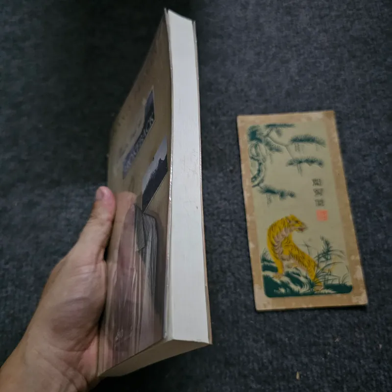 Chuyện tình núi Brokeback 732879