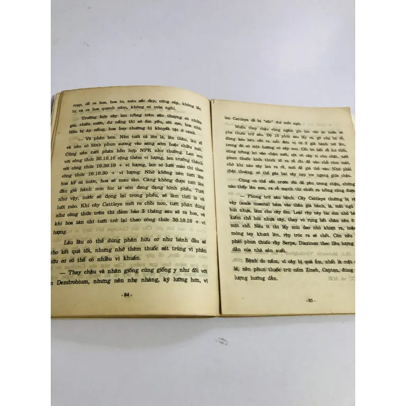 CẨM NANG NUÔI TRỒNG VÀ KINH DOANH PHONG LAN 595069