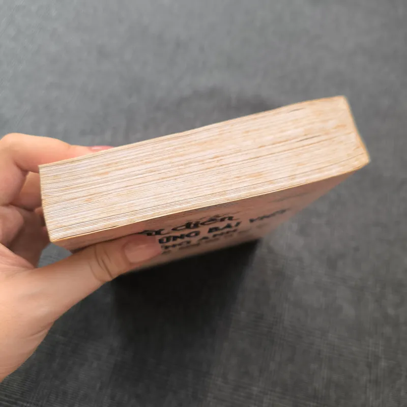 Từ điển những bài viết tiếng Anh trình độ nâng cao và đại học 564687