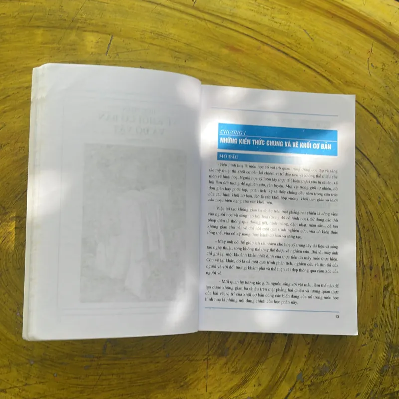 HÌNH HOẠ 1 - TRIỆU KHẮC LỄ  977771