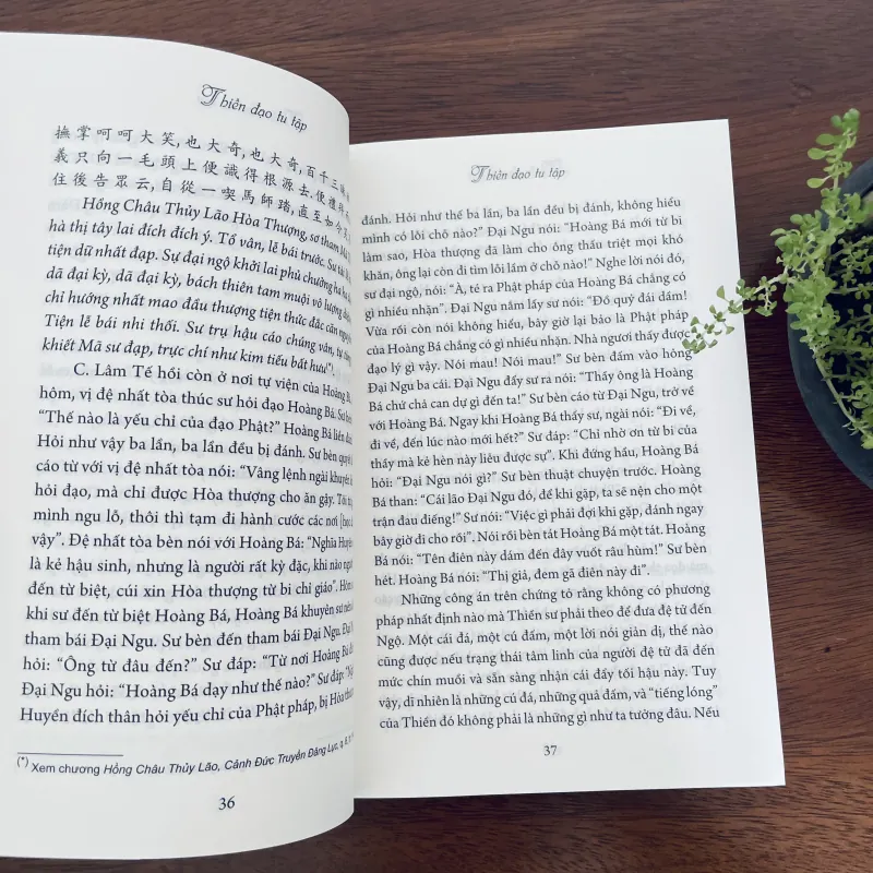 Thiền đạo tu tập - Chang Chen-Chi 937305