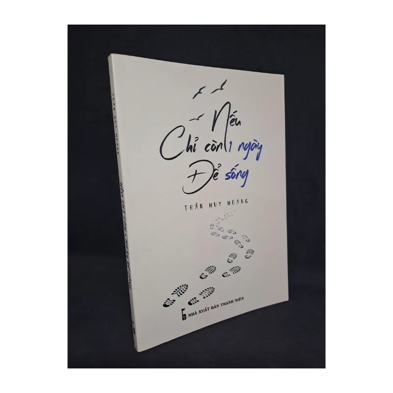 Nếu Chỉ Còn Một Ngày Để Sống Trần Huy Hoàng 2018 984737