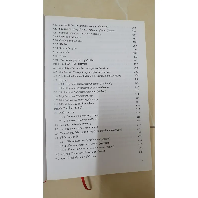 CÔN TRÙNG NHỆN GÂY HẠI CÂY ĂN TRÁI....  799628