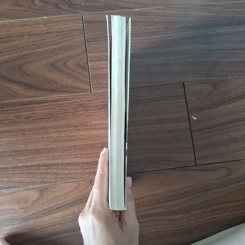 Hoàn khố - công tử hoan hỉ 508542