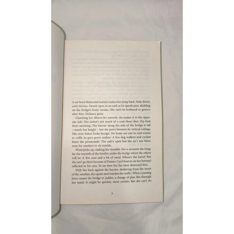 The Roommates 748108