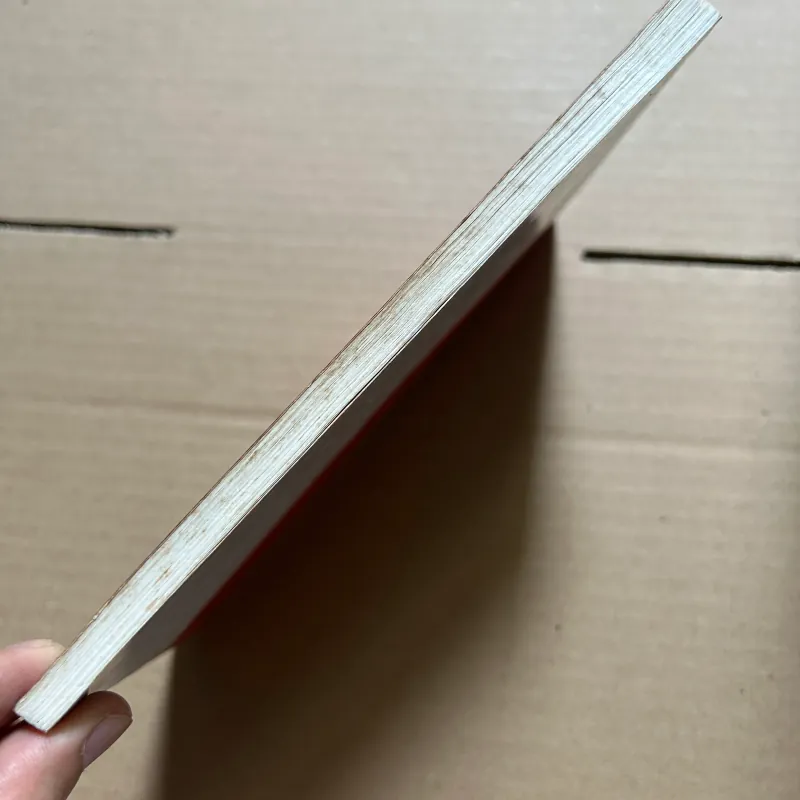 Truyện kể về các vương phi hoàng hậu nhà Nguyễn 990243