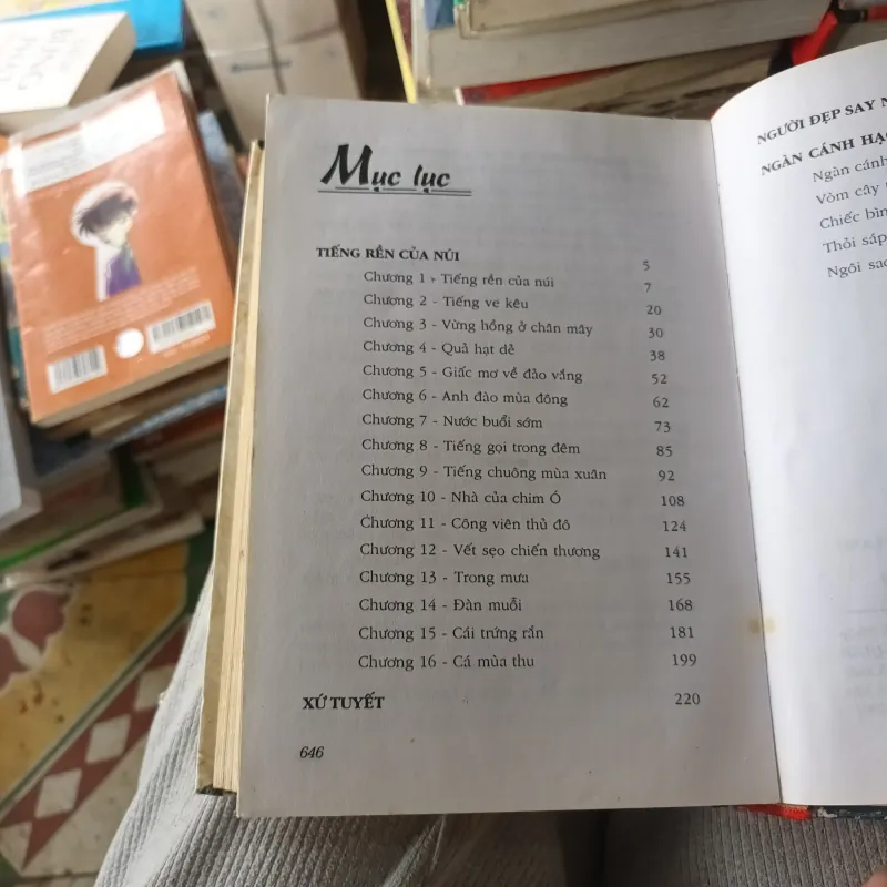 Tuyển Tập Y.Kawabata 971917