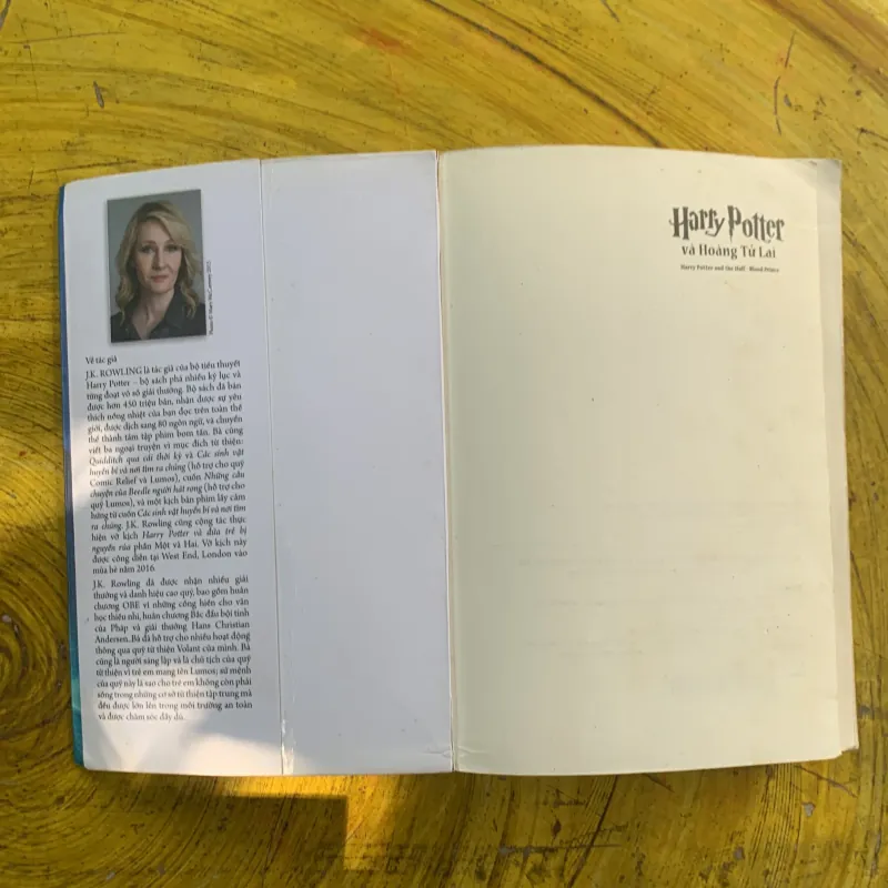 HARRY POTTER VÀ HOÀNG TỬ LAI - J. K. ROWLING  1002249