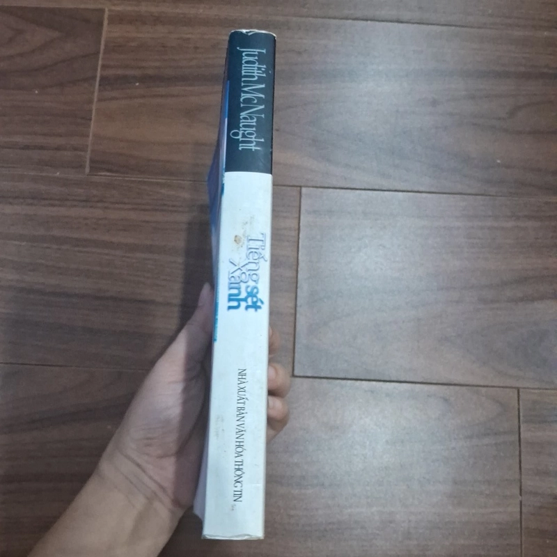 Tiếng sét xanh 506161