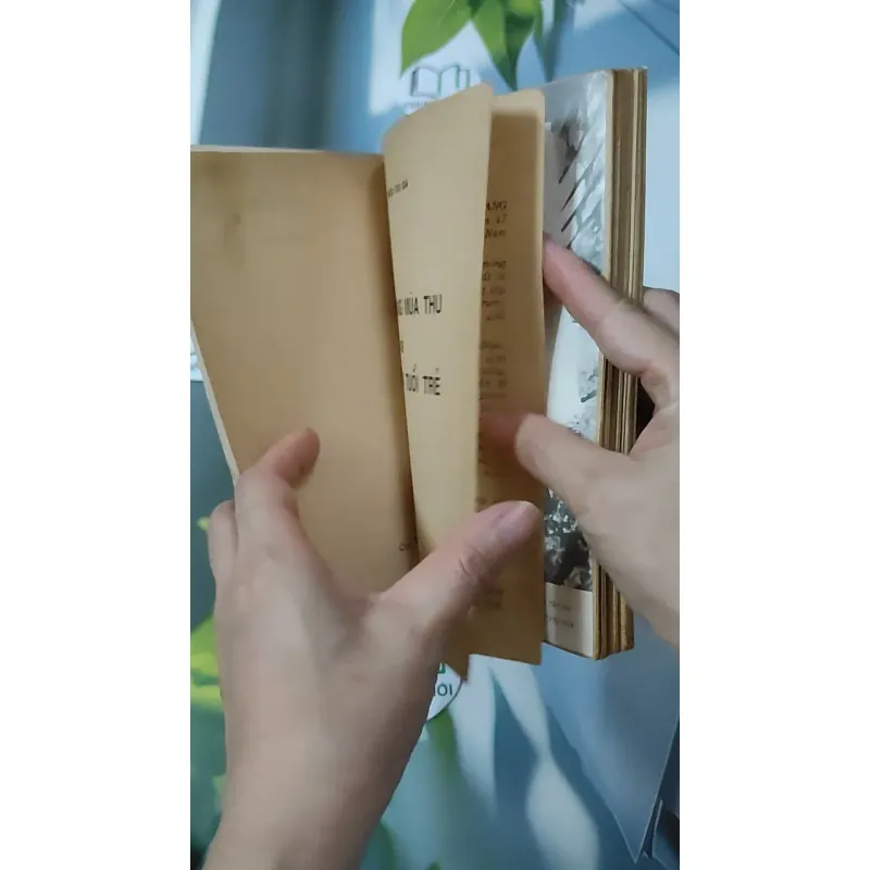 [MIỄN PHÍ BỌC SÁCH] [XƯA] [HIẾM] Cách Mạng Mùa Thu Và Giang Sơn Tuổi Trẻ (1992) 928584