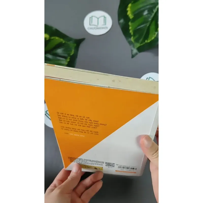 Trên Đường Băng 604648