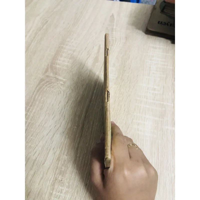 CHẾ BIẾN MÓN ĂN TỪ THỰC VẬT 956920