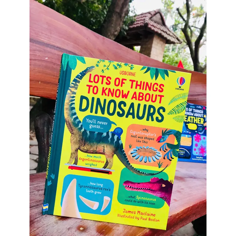 Usborne Lots of Things to Know About - Trọn bộ 5 cuốn - Bìa cứng 759599