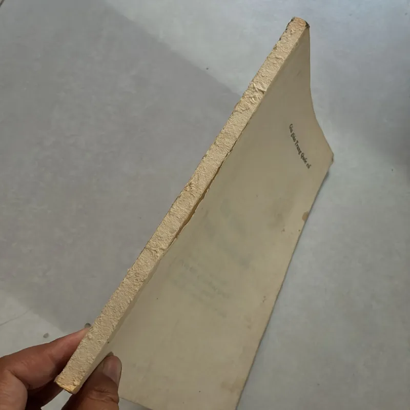 Gia giáo Trung Quốc cổ - Diêm Ái Dân 1006745