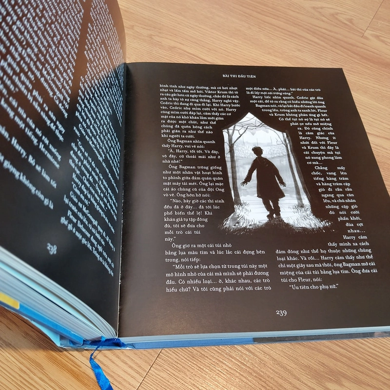 Harry Potter và Chiếc Cốc Lửa - J. K. Rowling (Bản Jim Kay) 472598
