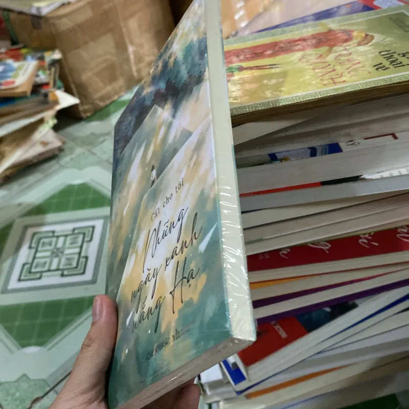 Cất cho tôi những ngày xanh nắng hạ 564699