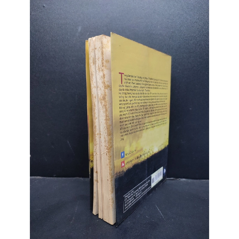 Trí tuệ diệu kì mới 80% ố vàng, có chữ viêt trang đầu 2016 HCM1406 TS G. Francis Xavier SÁCH KỸ NĂNG 166507