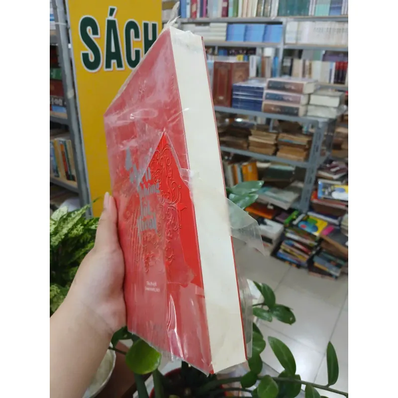 YÊU KHÔNG LỐI THOÁT - LAM BẠCH SẮC (Greenrosetq dịch) 996356