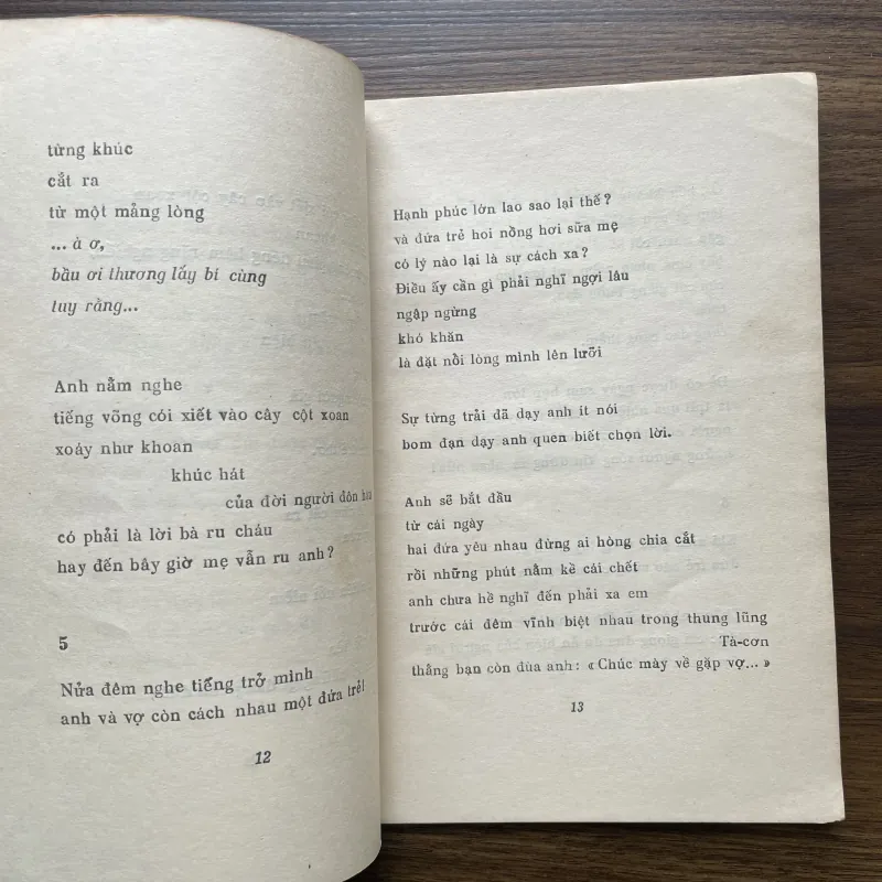 Ánh Trăng - Thơ Nguyễn Duy 976763