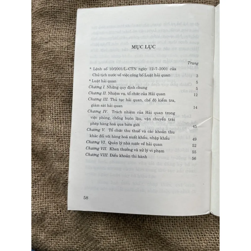 Sách luật Việt Nam - luật hải quan  937534