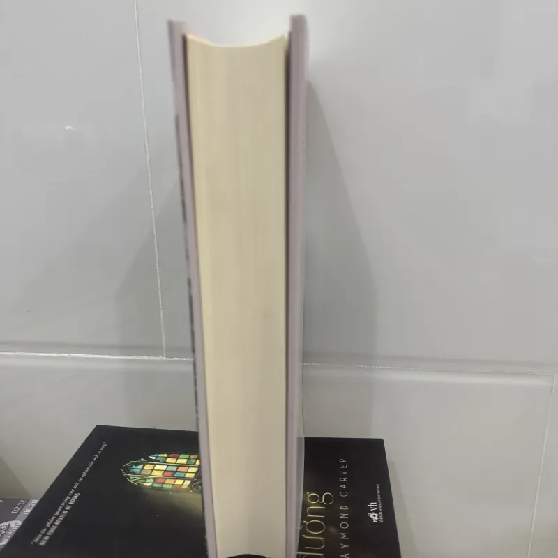 PHÍA ĐÔNG VƯỜN ĐỊA ĐÀNG - Bìa Cứng 776745