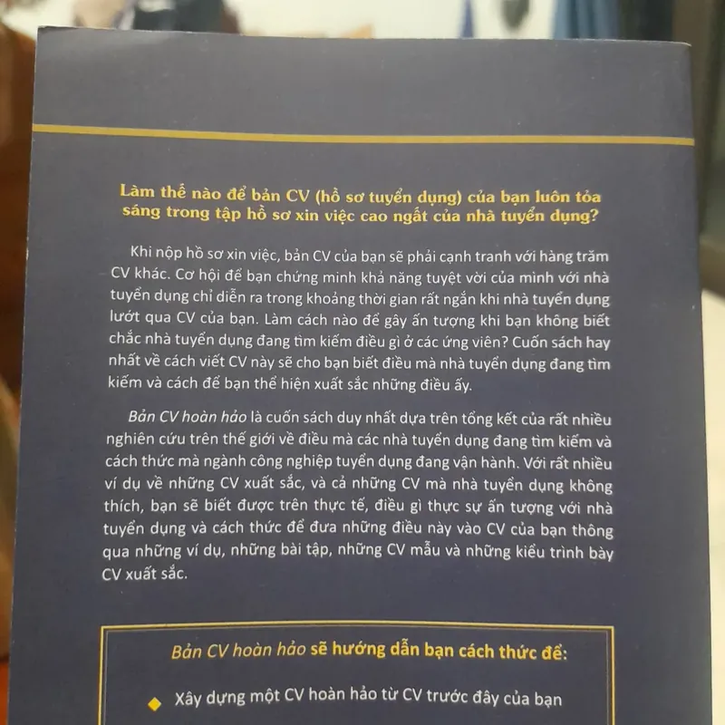 Bản CV hoàn hảo 713547