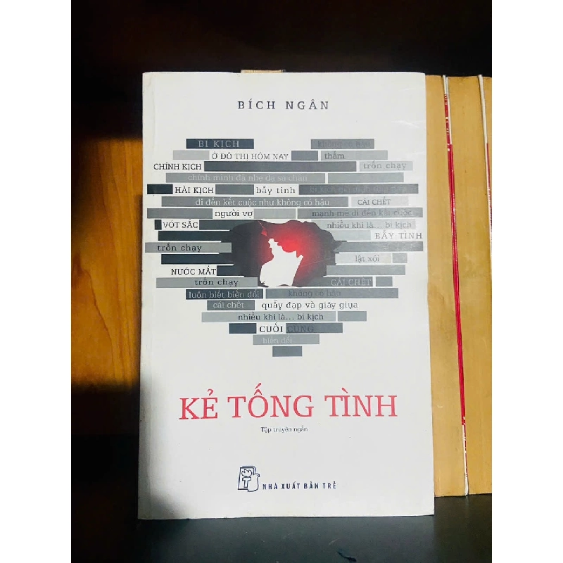 Kẻ tống tình / Bích Ngân VĂN HỌC VAVO2012-54 921260