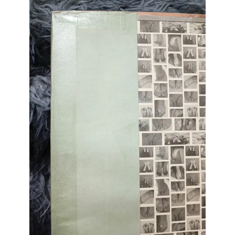 Nhã Nam tạp lục (bản đặc biệt) 926282