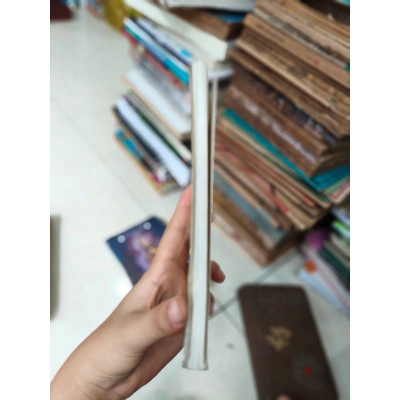 Hoàng tử bé 🌱 462455