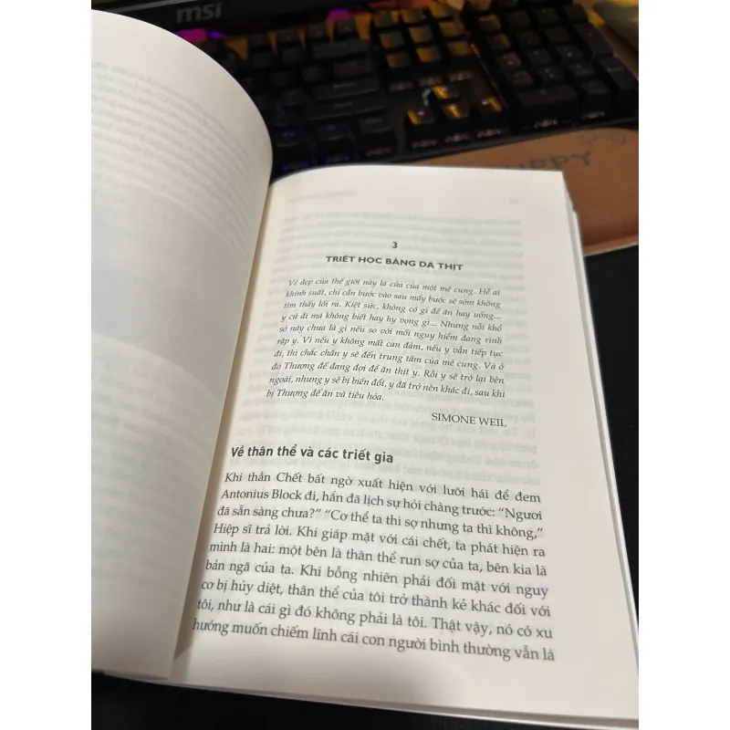 Chết cho tư tưởng - Costica Bradatan 755305