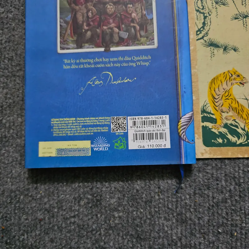 Quidditch qua các thời đại - Harry Potter 734063