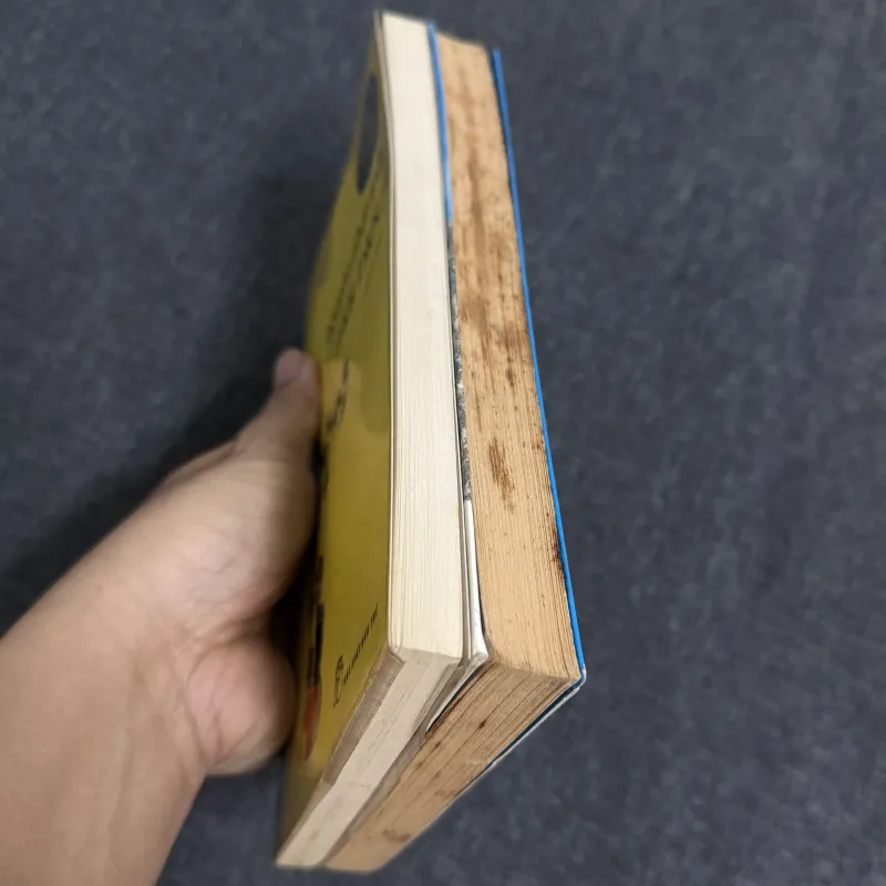 Mắt biếc - Nguyễn Nhật Ánh 1023120