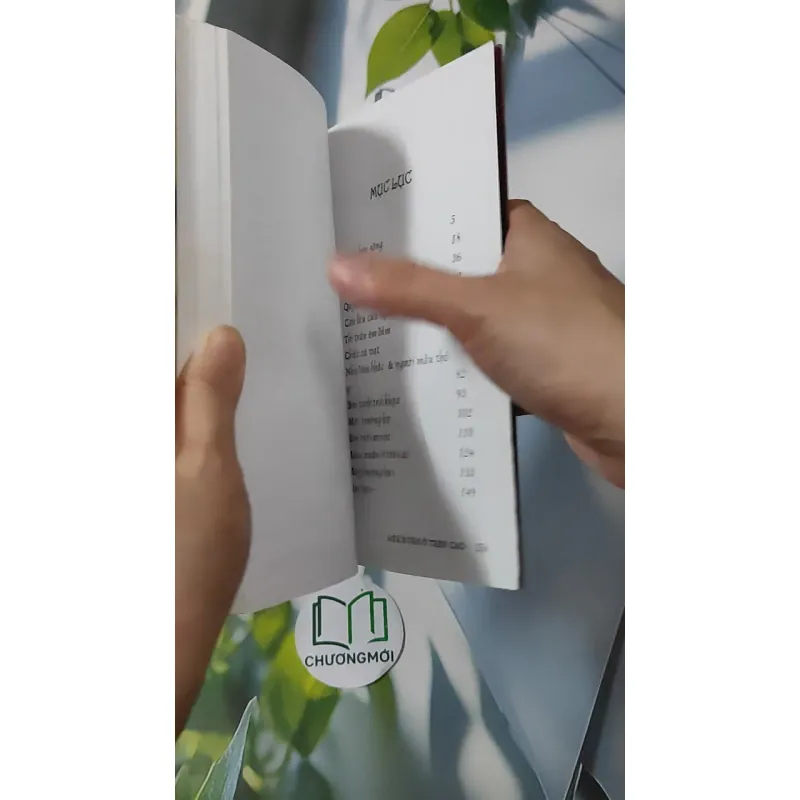 Mùa Xuân Ở Trên Cao - Mang Viên Long 928593