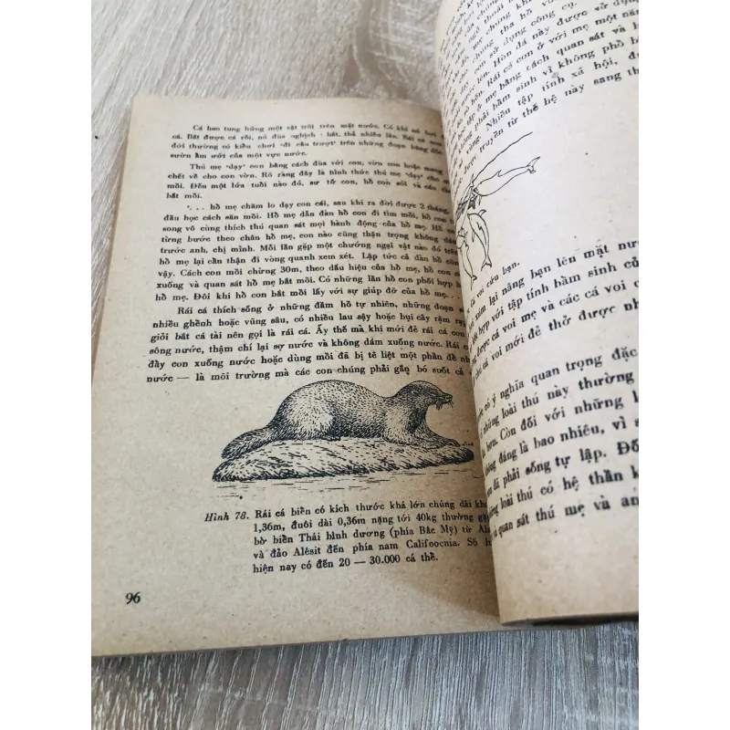 Đời sống các loài thú 1979 929091