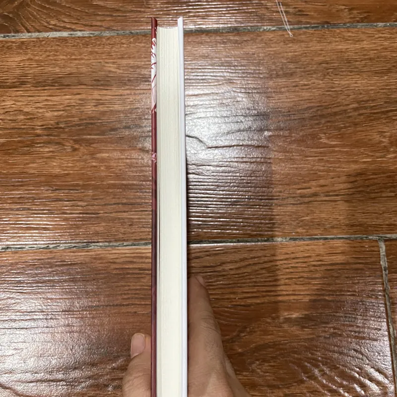 Mèo mặt nhọ 2 (12) 1024242