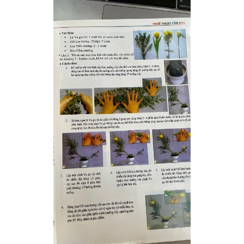 Nghệ Thuật Cắm Hoa - Thục Nữ 1049263