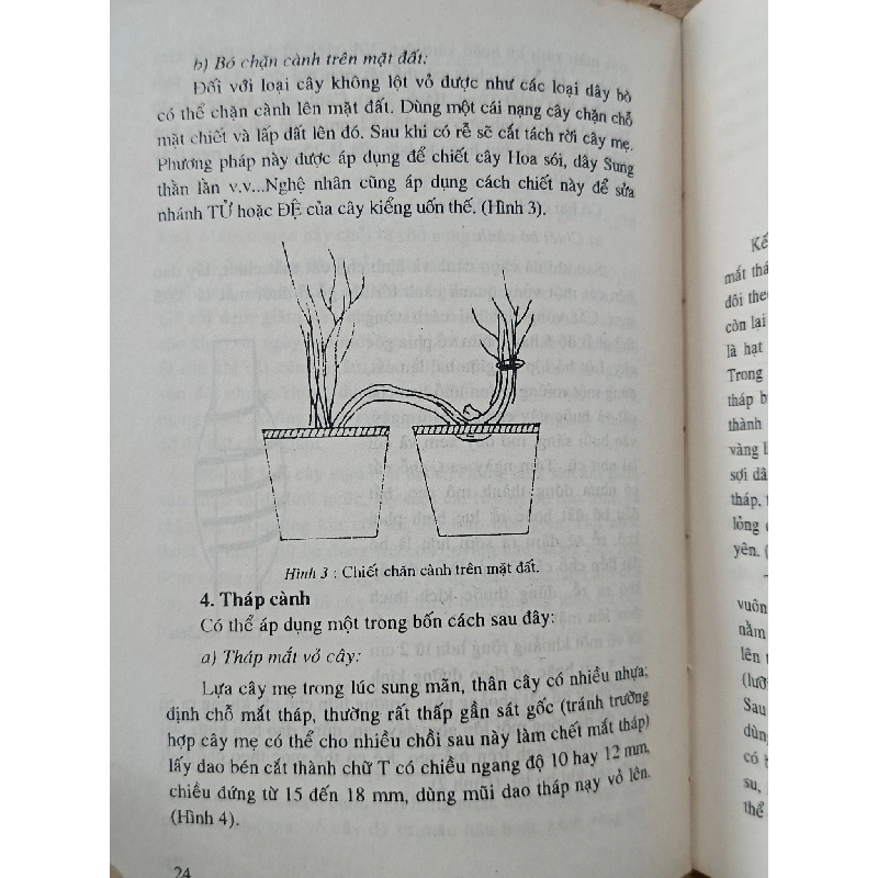 Trồng và chăm sóc hoa kiểng - Lê Xuân Vinh, Bùi Văn Mãnh, Phạm Tạo 975201