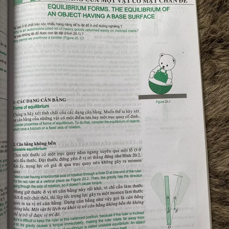 (Song ngữ) Vật Lí 10 song ngữ Việt Anh 603164