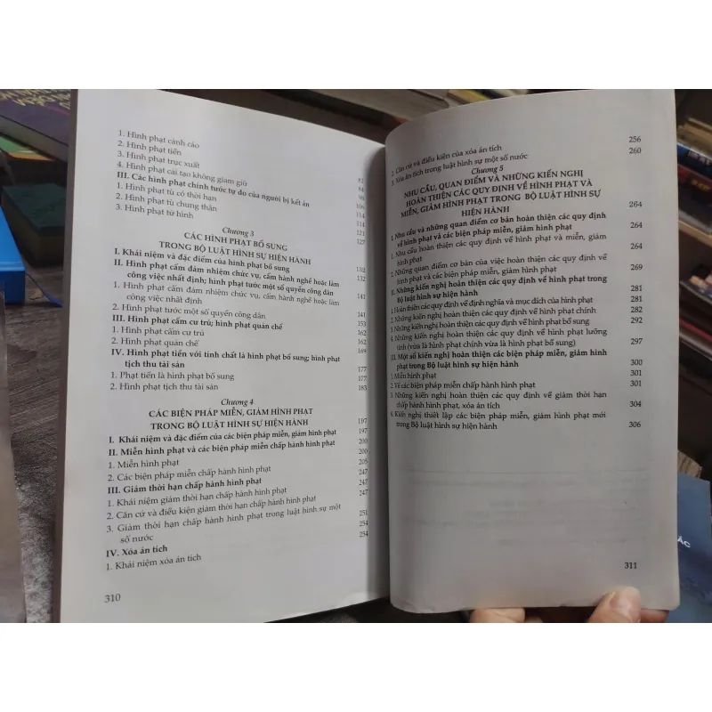 Sách: Nghiên cứu hình phạt trong luật hình sự VN dưới góc độ bảo vệ quyền con người (A3) 601381