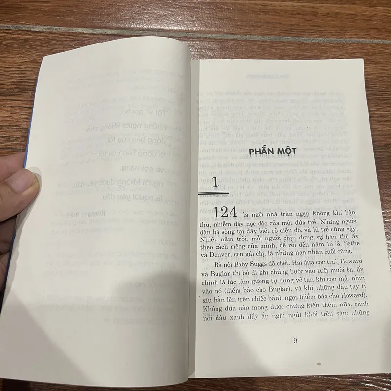 Người Yêu Dấu - Toni Morrison (k1) 603509