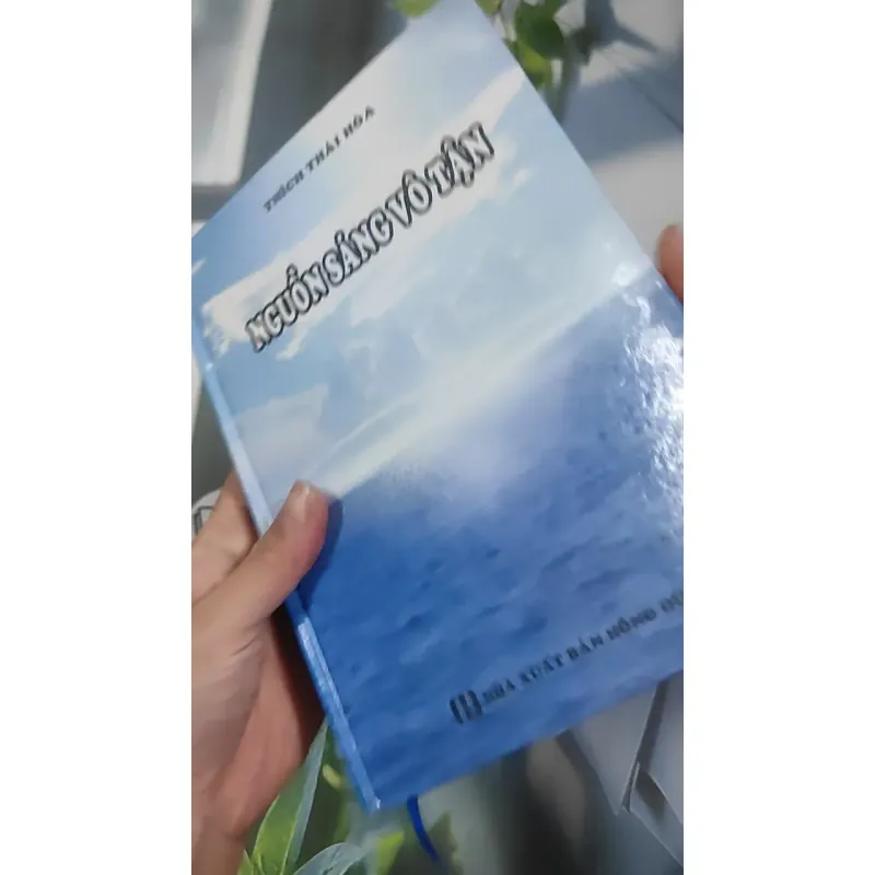 Nguồn Sáng Vô Tận - Thích Thái Hòa 990452
