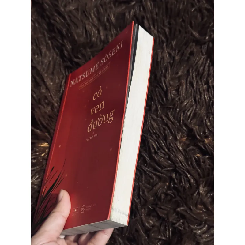 Cỏ ven đường 999175