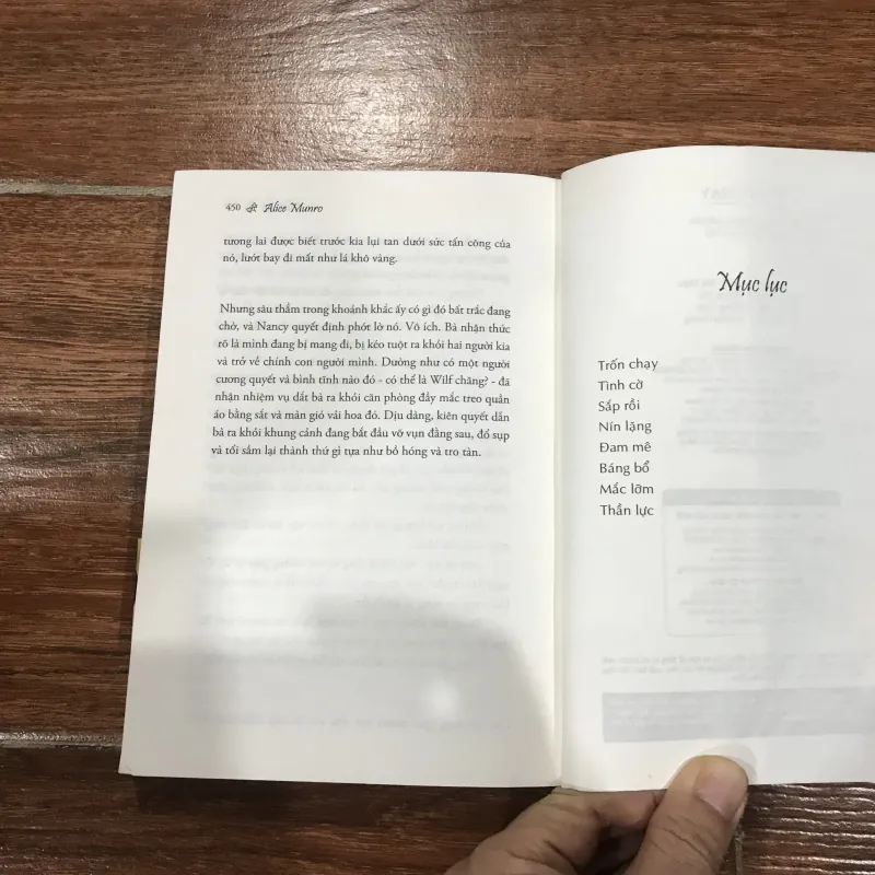 Trốn chạy - Alice Munro (6) 781619