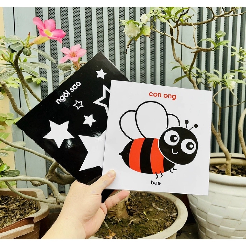 Thẻ Flashcard Kích Thích Thị Giác Cho Trẻ Sơ Sinh 0-1 Tuổi Zic Zắc 531098