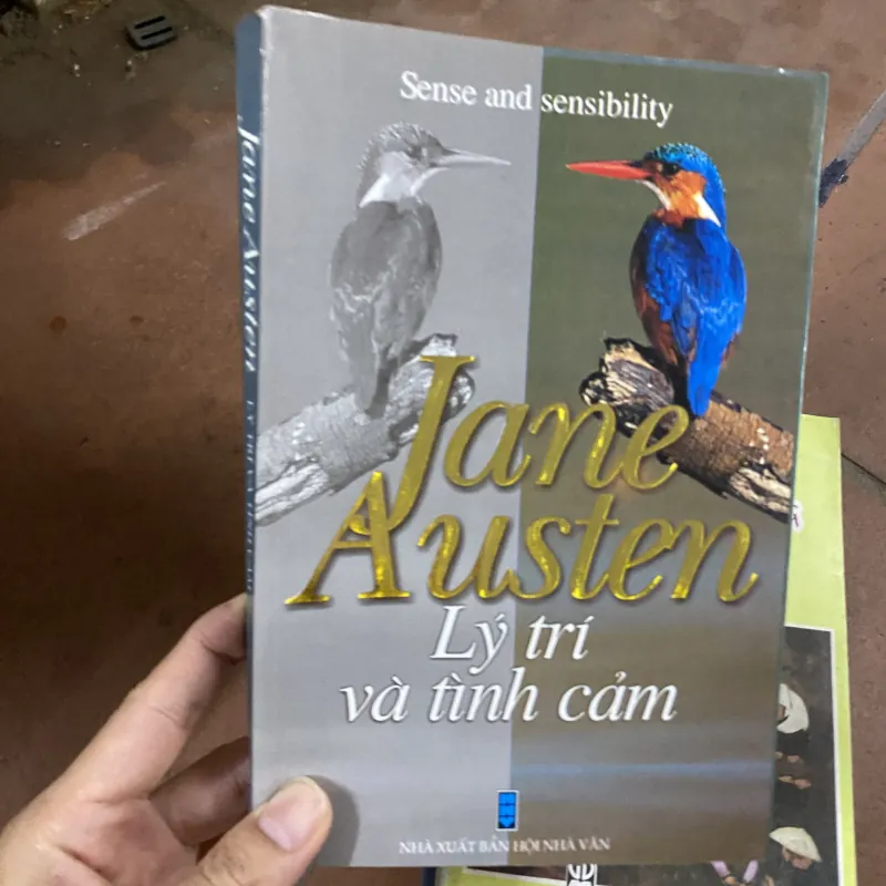 Lý trí và tình cảm 312593