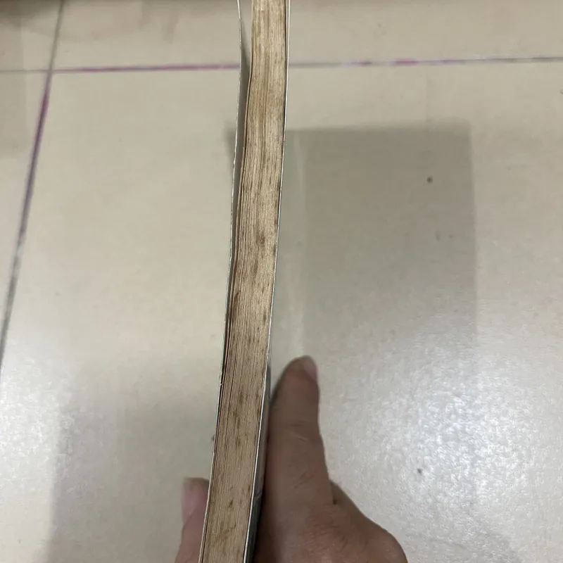 Những điều cực đỉnh về toán học - Từ không đến vô cực (c43) 698208