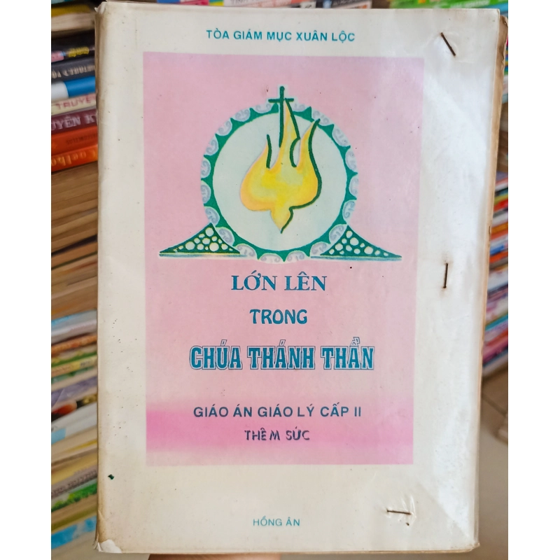 Lớn lên trong Chúa thánh thần - Giáo án 🌻 542389