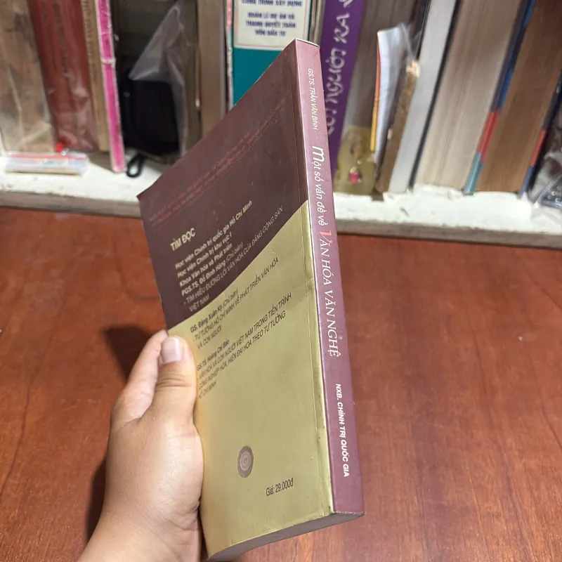 II Văn Hoá: Một Số Vấn Đề Về Văn Hoá Văn Nghệ - GS.TS. Trần Văn Bính - 2007 1012883