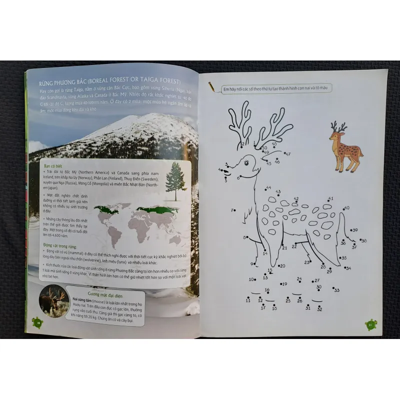 Bộ sách khám phá Việt Nam - Khám phá rừng Tam Đảo 737117