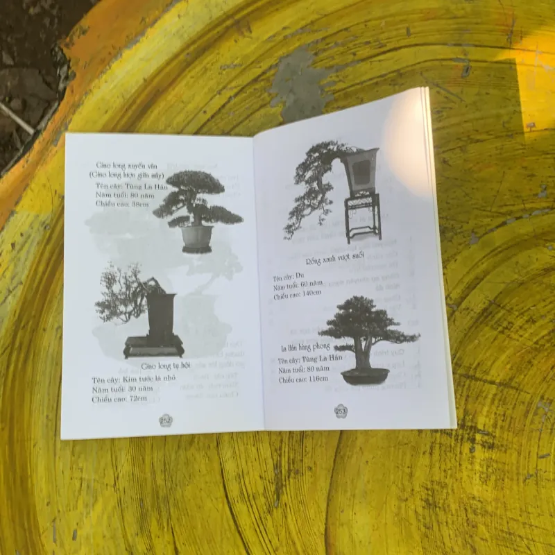  NGHỆ THUẬT CHẾ TÁC CHẬU CẢNH SƠN THUỶ- THANH LOAN 759665